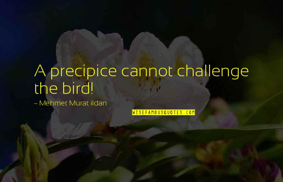 Amos Stagg Quotes By Mehmet Murat Ildan: A precipice cannot challenge the bird!