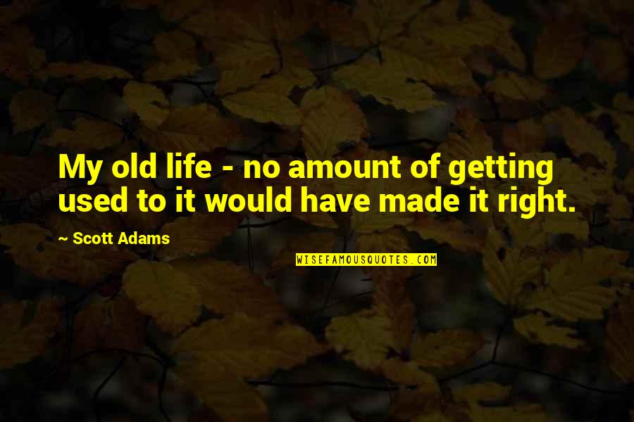 Amount Of Life Quotes By Scott Adams: My old life - no amount of getting