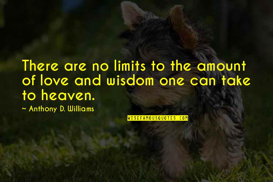 Amount Of Love Quotes By Anthony D. Williams: There are no limits to the amount of