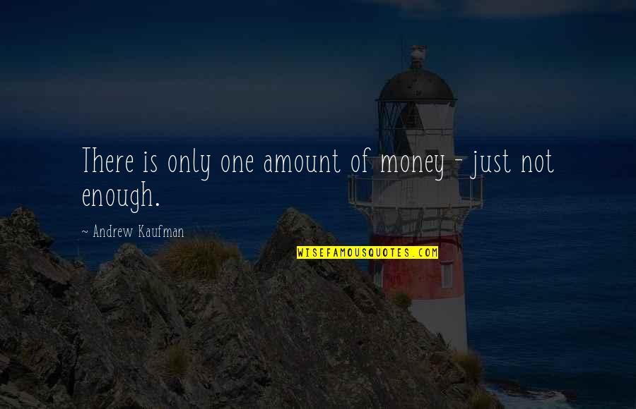 Amount Of Money Quotes By Andrew Kaufman: There is only one amount of money -