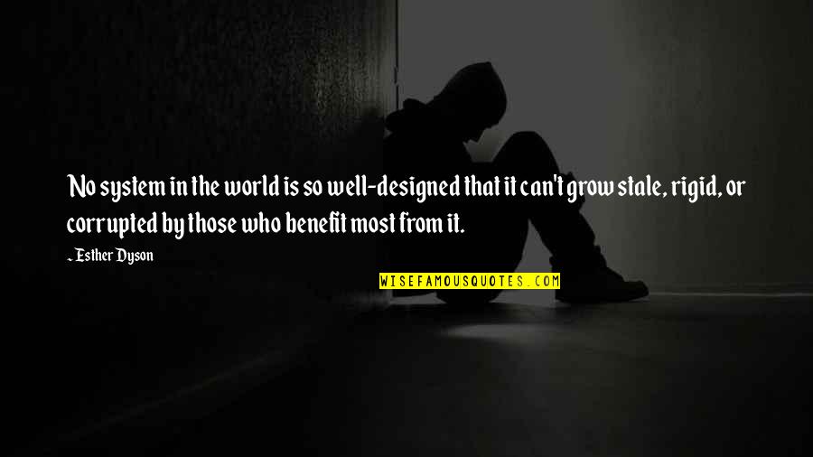 Amour Perdu Quotes By Esther Dyson: No system in the world is so well-designed Amour Perdu Quotes By Esther Dyson: No system in the world is so well-designed