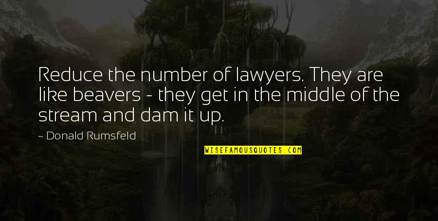 Ampac Quotes By Donald Rumsfeld: Reduce the number of lawyers. They are like