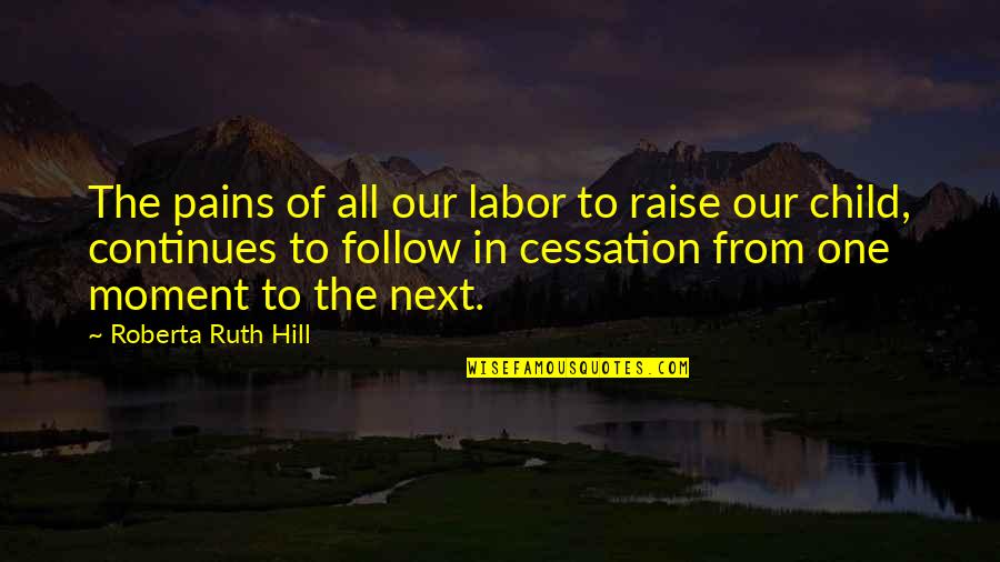Amparex Quotes By Roberta Ruth Hill: The pains of all our labor to raise Amparex Quotes By Roberta Ruth Hill: The pains of all our labor to raise