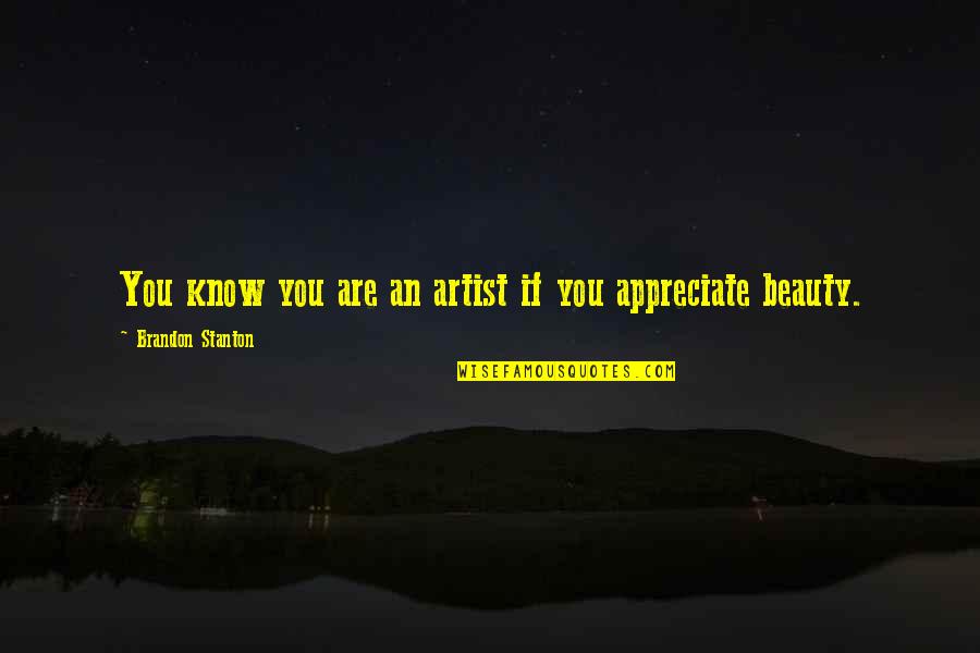 Ampersands Quotes By Brandon Stanton: You know you are an artist if you