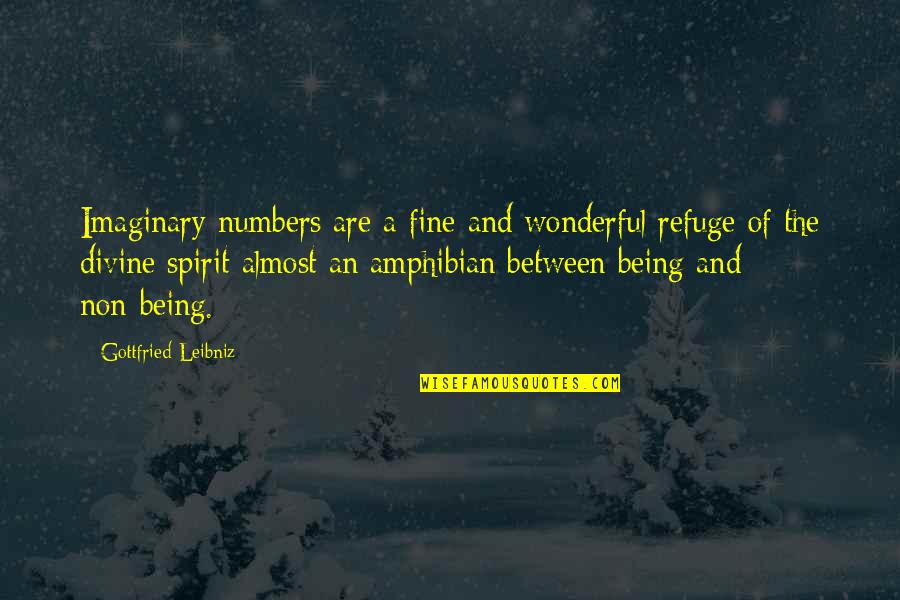 Amphibian Quotes By Gottfried Leibniz: Imaginary numbers are a fine and wonderful refuge