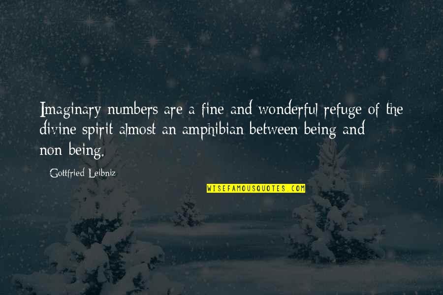 Amphibians Quotes By Gottfried Leibniz: Imaginary numbers are a fine and wonderful refuge