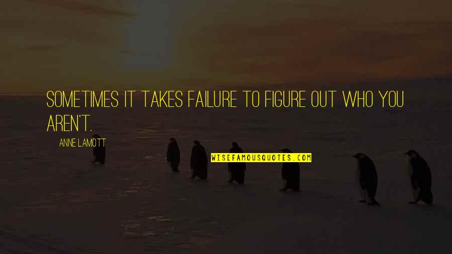 Amphitheatres Quotes By Anne Lamott: Sometimes it takes failure to figure out who