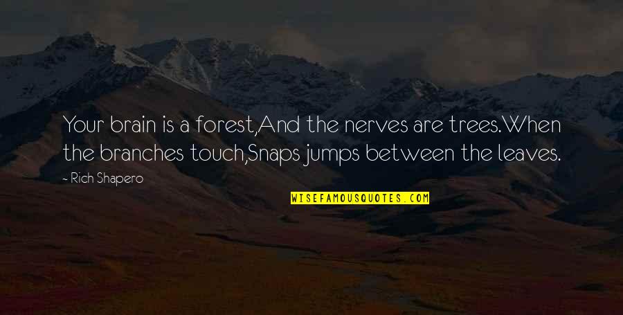 Amphitrites Powers Quotes By Rich Shapero: Your brain is a forest,And the nerves are