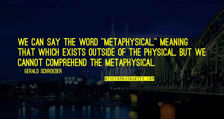 Amphitryon Hotel Quotes By Gerald Schroeder: We can say the word "metaphysical," meaning that