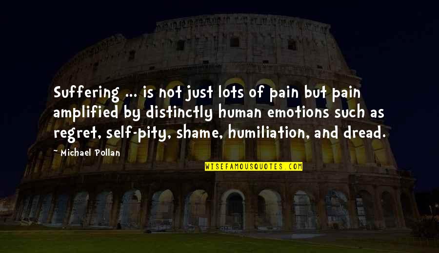 Amplified Quotes By Michael Pollan: Suffering ... is not just lots of pain