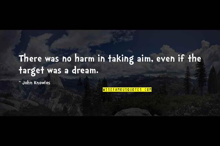 Amplified Stethoscope Quotes By John Knowles: There was no harm in taking aim, even