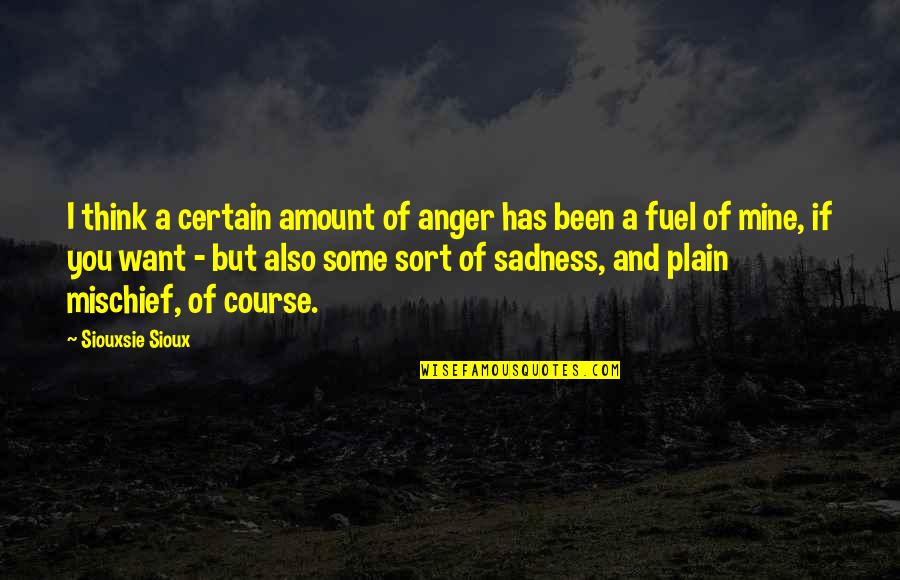 Amplitudes Termicas Quotes By Siouxsie Sioux: I think a certain amount of anger has