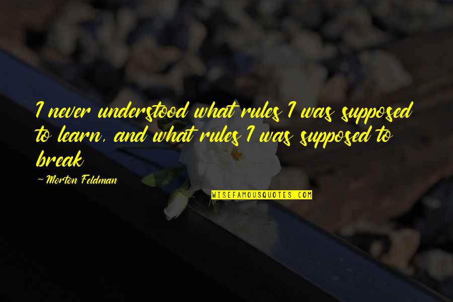 Amputari Pe Quotes By Morton Feldman: I never understood what rules I was supposed