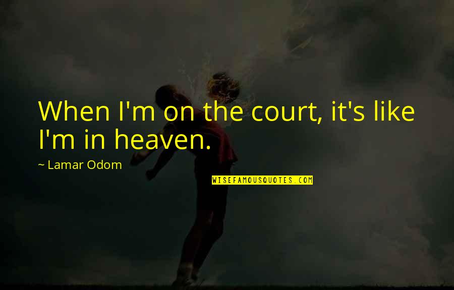 Amra Quotes By Lamar Odom: When I'm on the court, it's like I'm