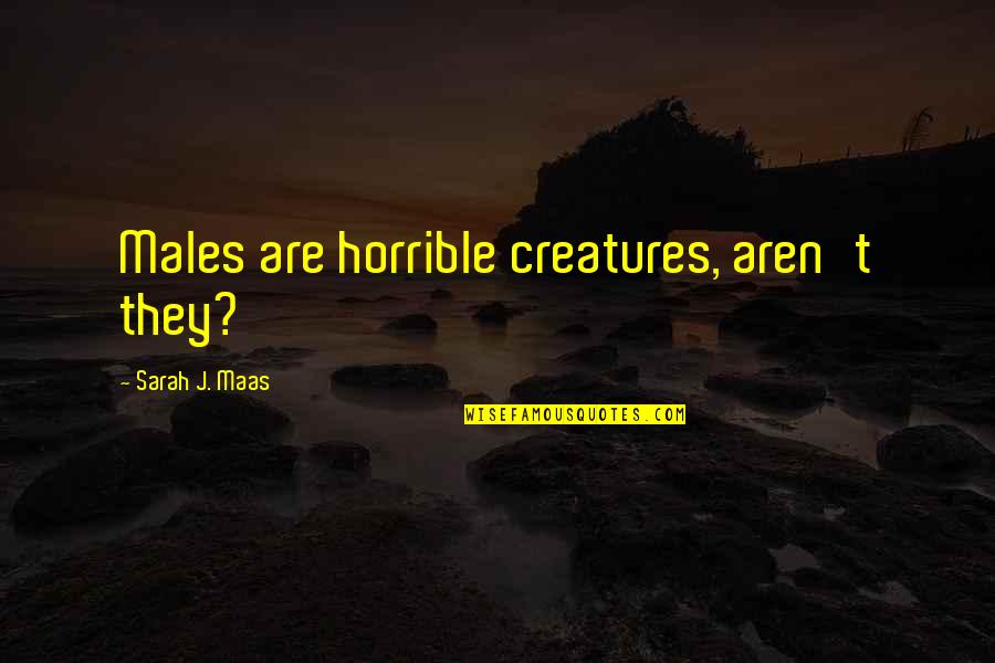 Amren Quotes By Sarah J. Maas: Males are horrible creatures, aren't they?