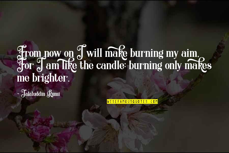 Am'rous Quotes By Jalaluddin Rumi: From now on I will make burning my