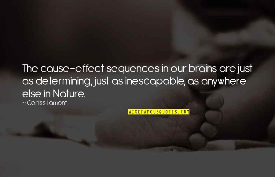 Amserv Quotes By Corliss Lamont: The cause-effect sequences in our brains are just
