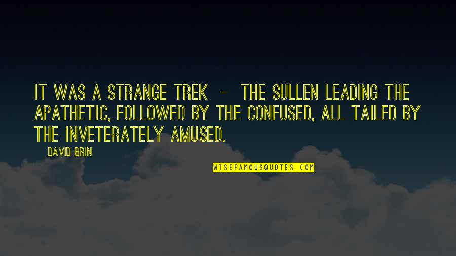 Amused Quotes By David Brin: It was a strange trek - the sullen