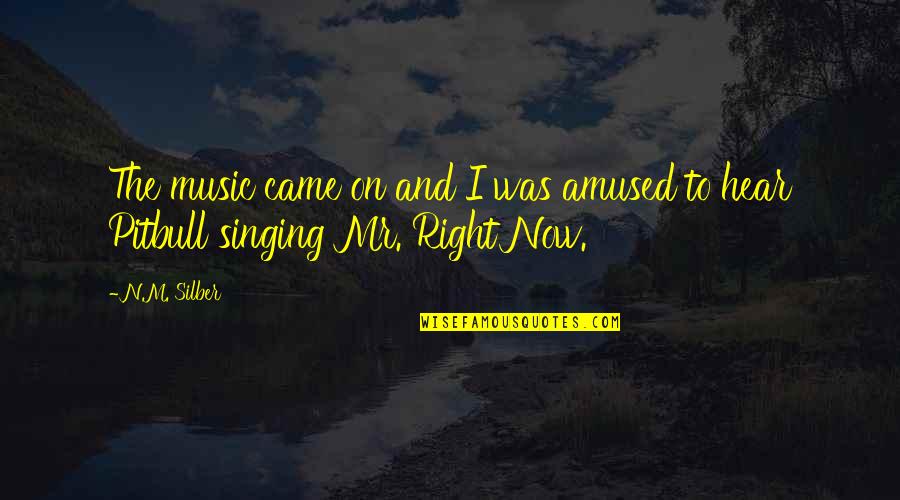 Amused Quotes By N.M. Silber: The music came on and I was amused