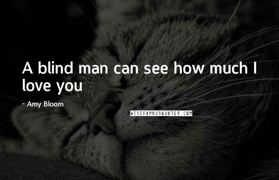 Amy Bloom quotes: A blind man can see how much I love you