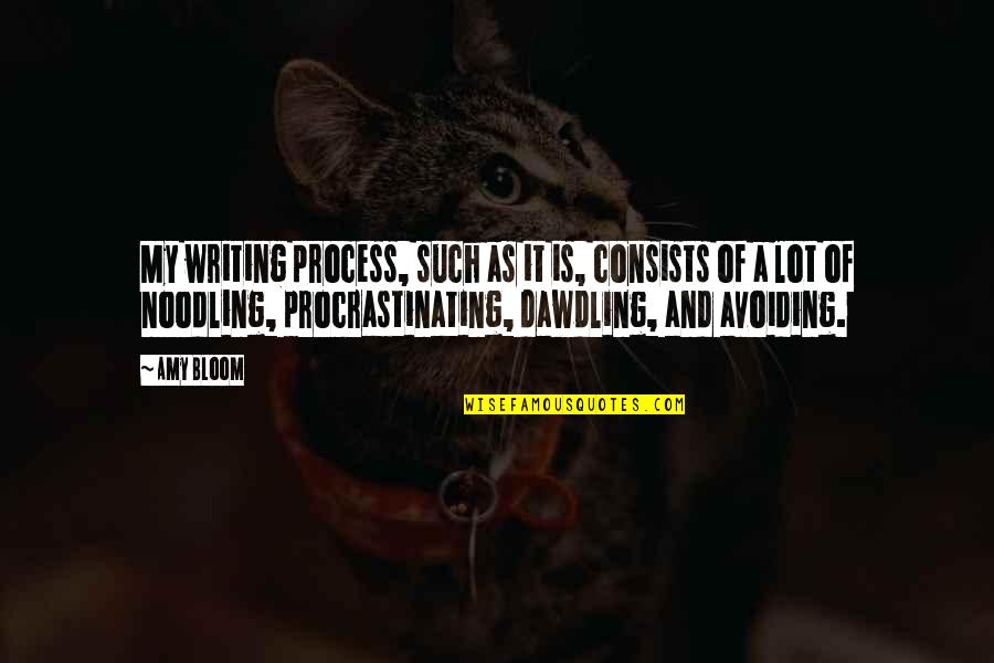 Amy Bloom Quotes By Amy Bloom: My writing process, such as it is, consists