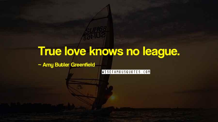 Amy Butler Greenfield quotes: True love knows no league.
