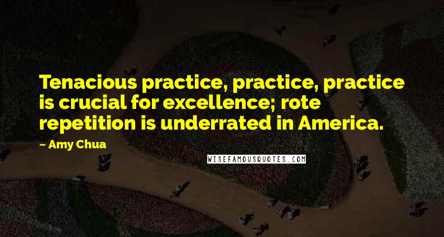 Amy Chua quotes: Tenacious practice, practice, practice is crucial for excellence; rote repetition is underrated in America.