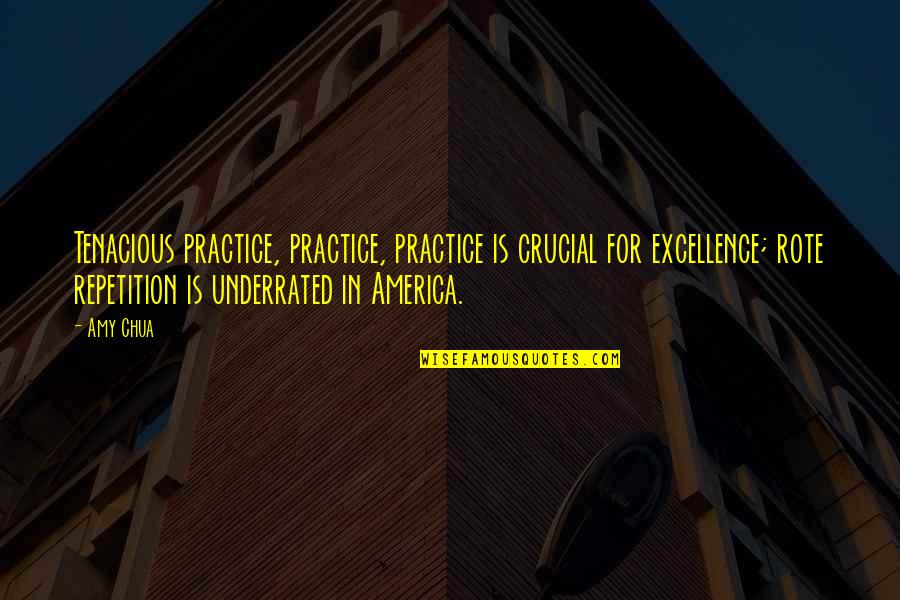 Amy Chua Quotes By Amy Chua: Tenacious practice, practice, practice is crucial for excellence;
