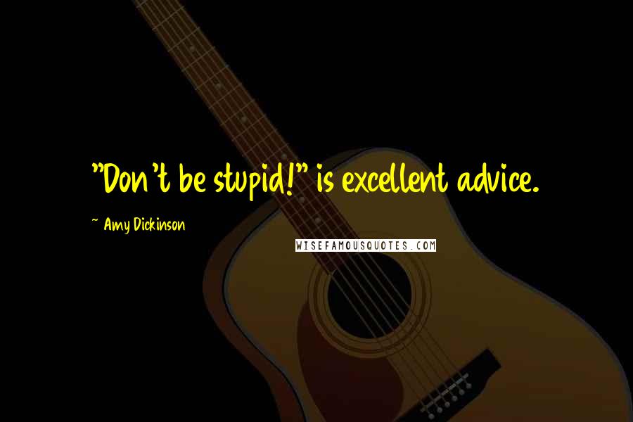 Amy Dickinson quotes: "Don't be stupid!" is excellent advice.