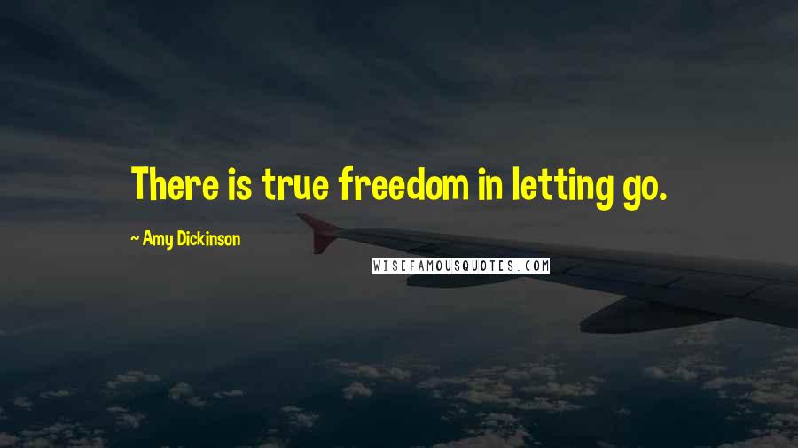 Amy Dickinson quotes: There is true freedom in letting go.