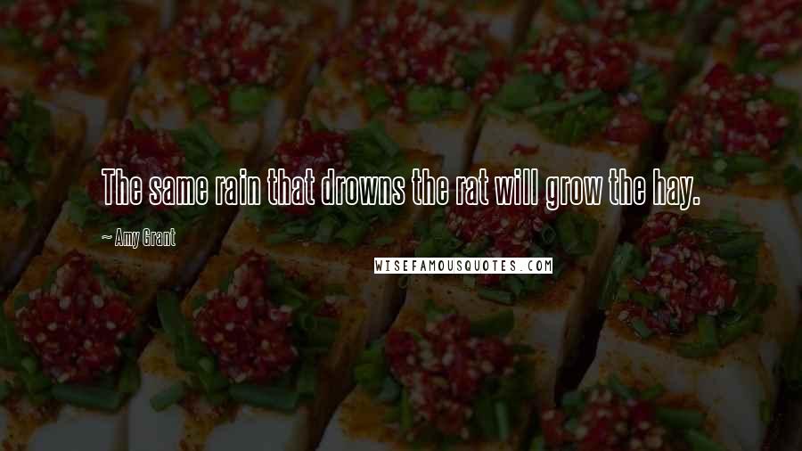 Amy Grant quotes: The same rain that drowns the rat will grow the hay. Amy Grant quotes: The same rain that drowns the rat will grow the hay.