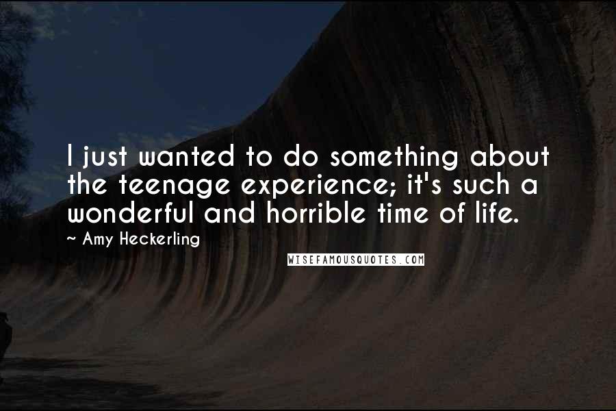 Amy Heckerling quotes: I just wanted to do something about the teenage experience; it's such a wonderful and horrible time of life.