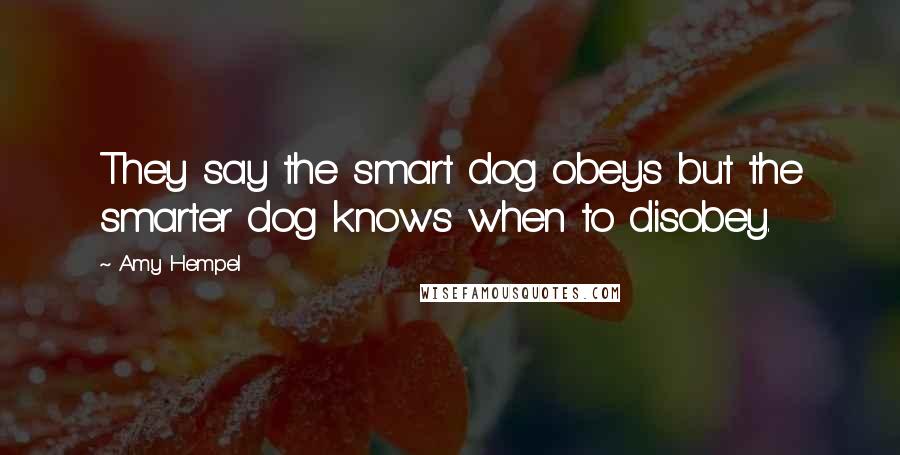 Amy Hempel quotes: They say the smart dog obeys but the smarter dog knows when to disobey.