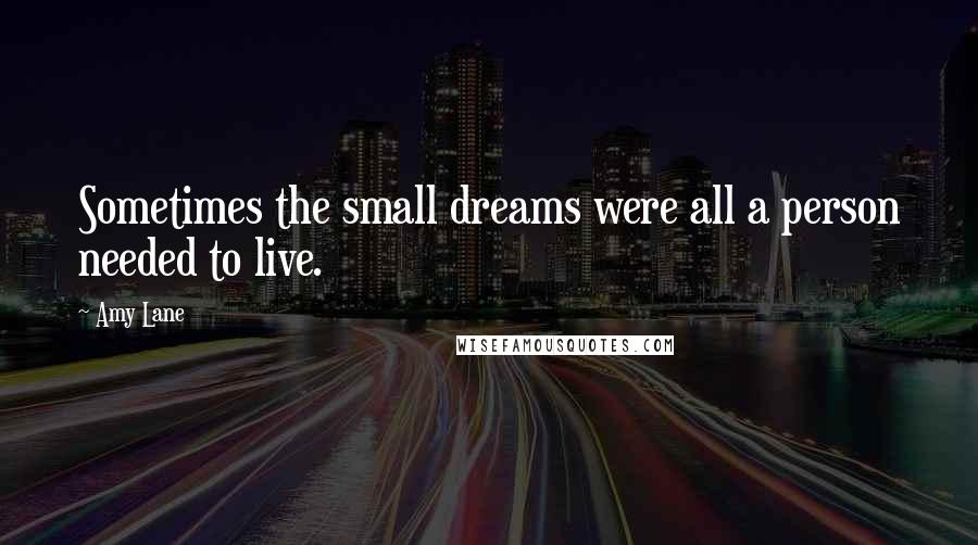 Amy Lane quotes: Sometimes the small dreams were all a person needed to live.