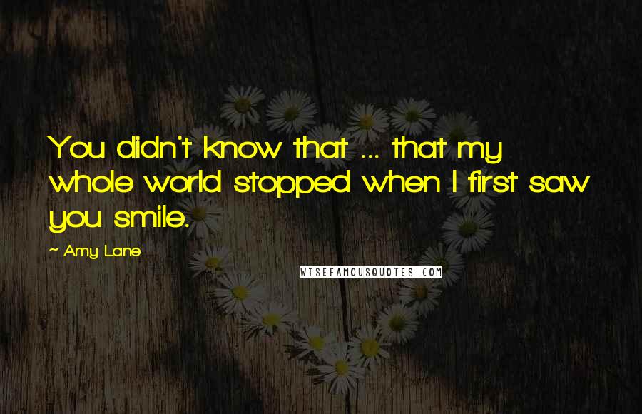 Amy Lane quotes: You didn't know that ... that my whole world stopped when I first saw you smile.