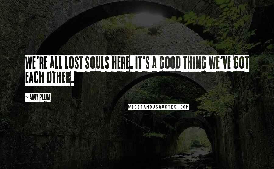 Amy Plum quotes: We're all lost souls here. It's a good thing we've got each other.