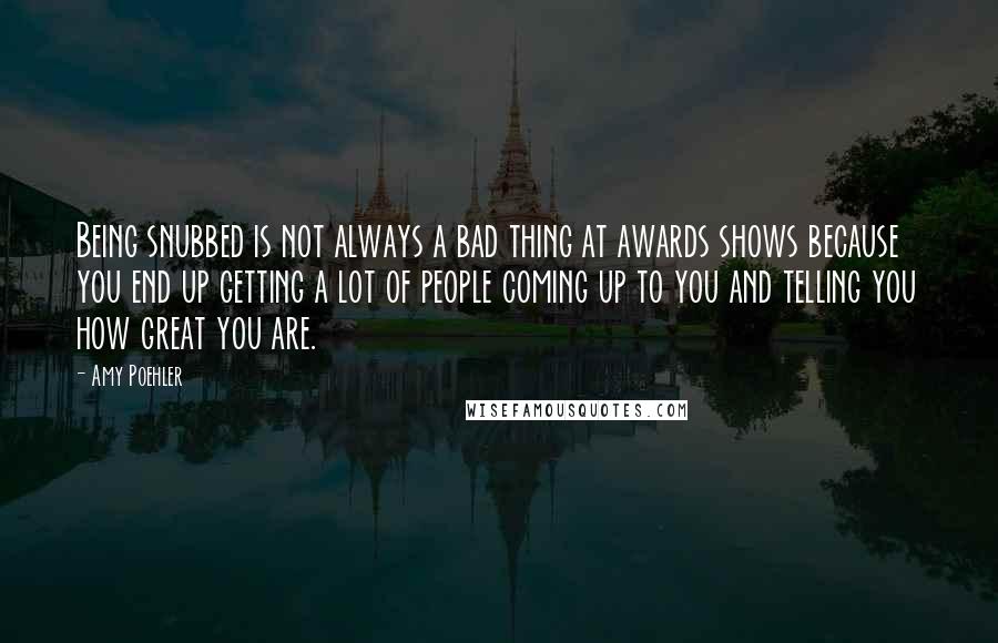 Amy Poehler quotes: Being snubbed is not always a bad thing at awards shows because you end up getting a lot of people coming up to you and telling you how great you