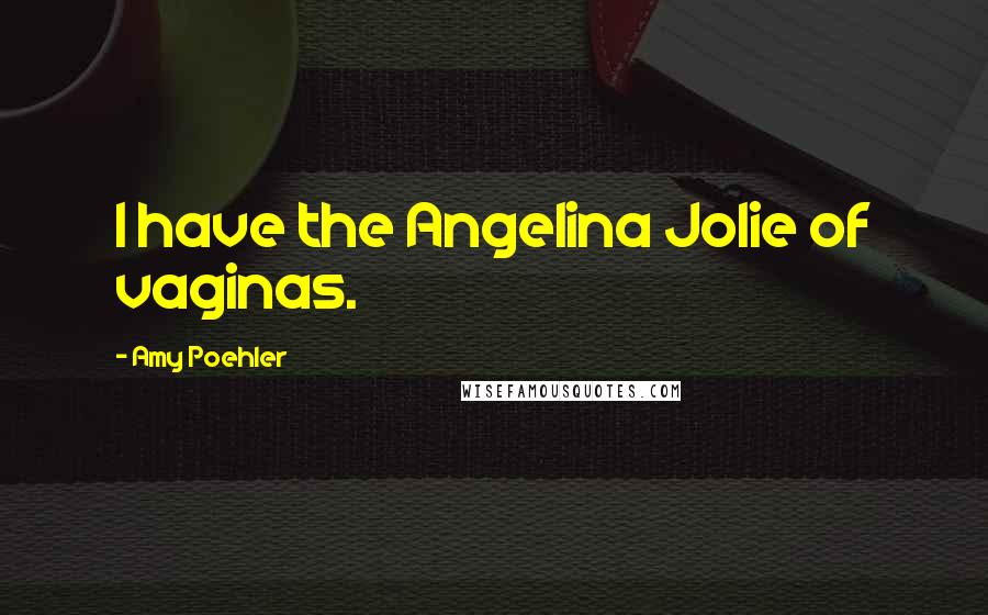 Amy Poehler quotes: I have the Angelina Jolie of vaginas.