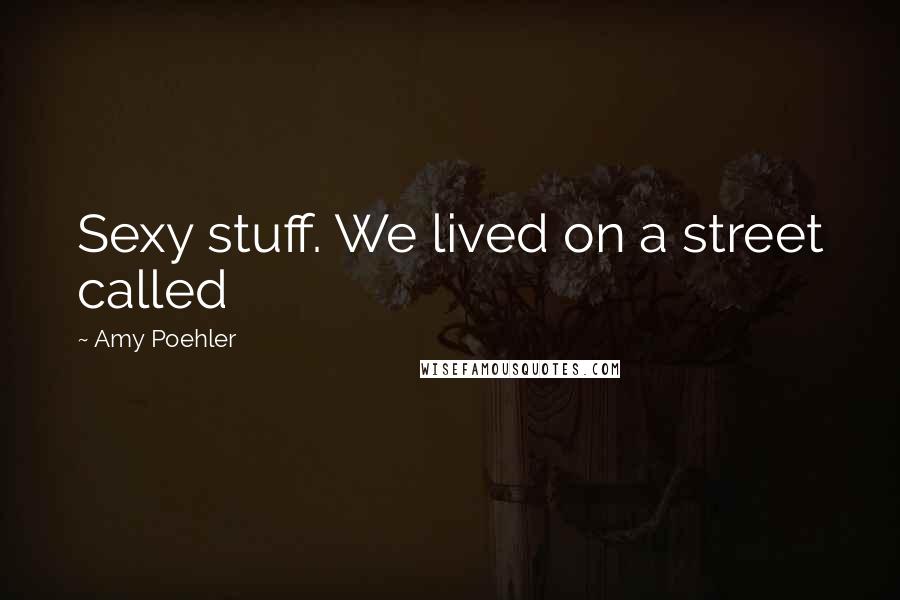 Amy Poehler quotes: Sexy stuff. We lived on a street called