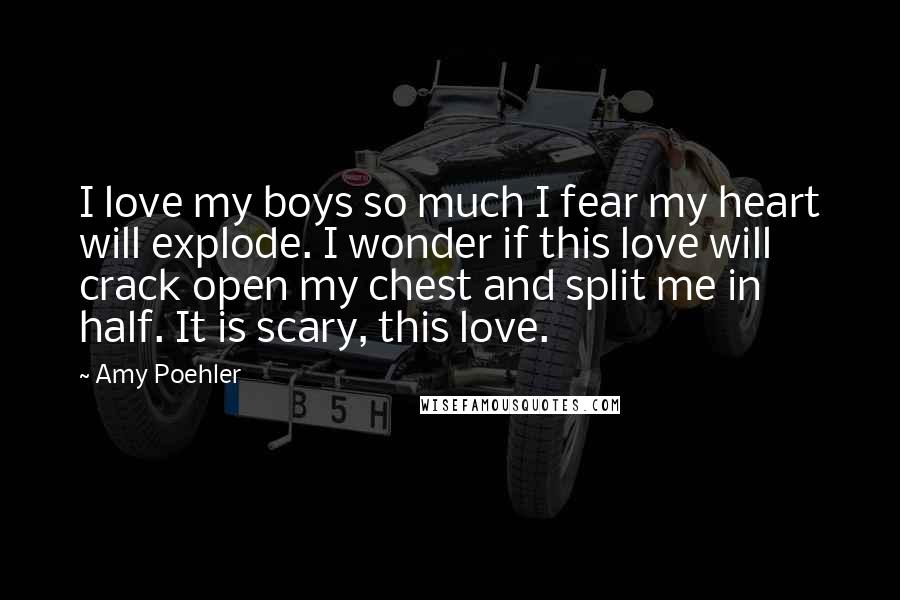 Amy Poehler quotes: I love my boys so much I fear my heart will explode. I wonder if this love will crack open my chest and split me in half. It is scary,