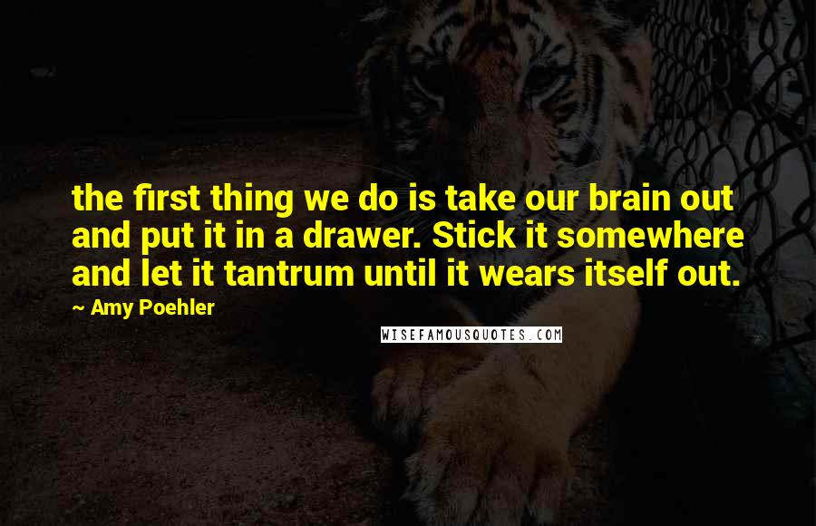 Amy Poehler quotes: the first thing we do is take our brain out and put it in a drawer. Stick it somewhere and let it tantrum until it wears itself out.