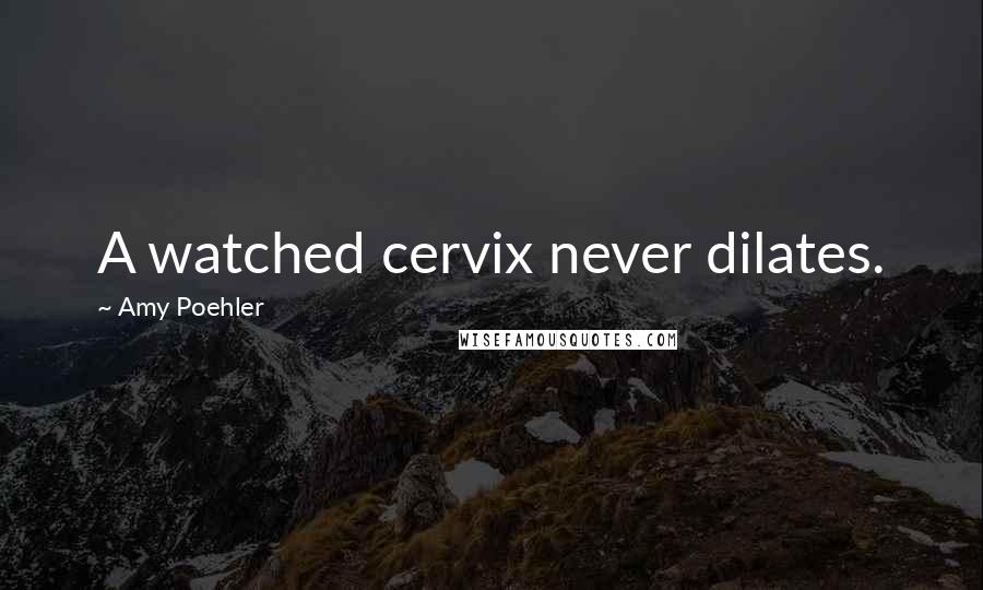 Amy Poehler quotes: A watched cervix never dilates.