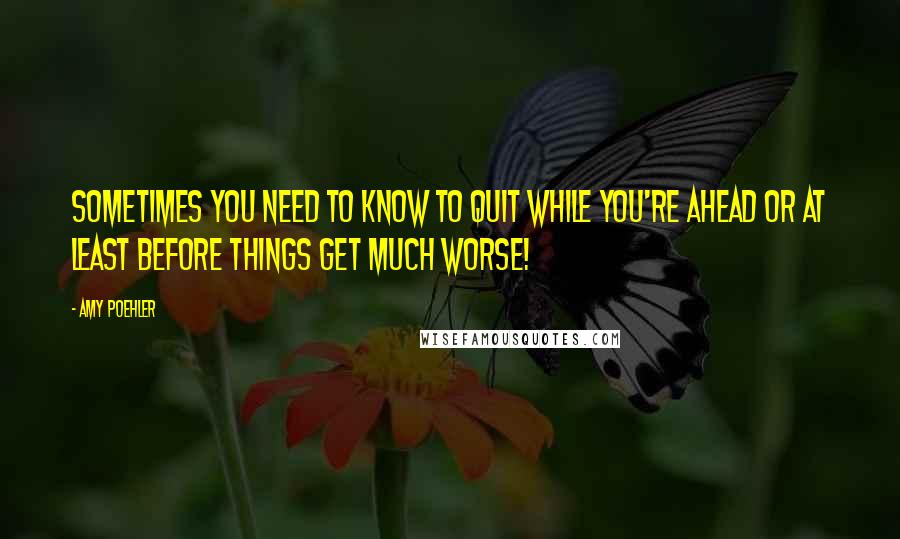 Amy Poehler quotes: Sometimes you need to know to quit while you're ahead or at least before things get much worse!