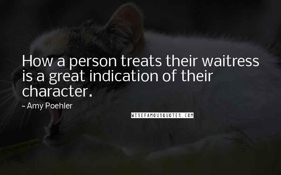 Amy Poehler quotes: How a person treats their waitress is a great indication of their character.