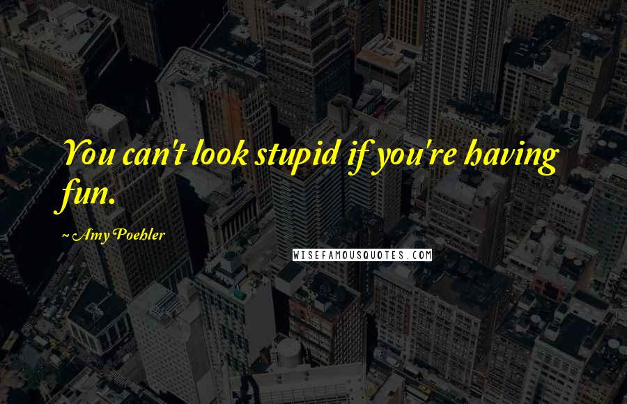 Amy Poehler quotes: You can't look stupid if you're having fun.