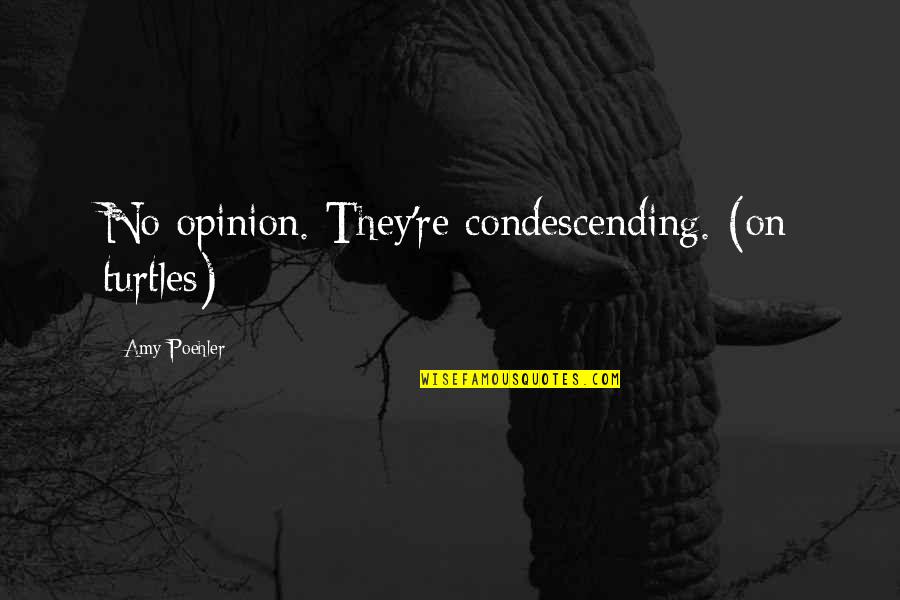 Amy Poehler Quotes By Amy Poehler: No opinion. They're condescending. (on turtles)