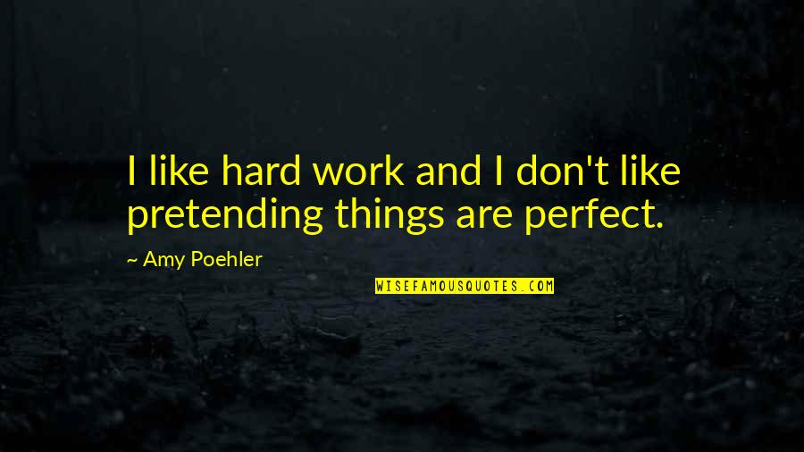 Amy Poehler Quotes By Amy Poehler: I like hard work and I don't like