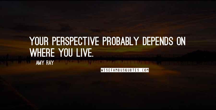 Amy Ray quotes: Your perspective probably depends on where you live.