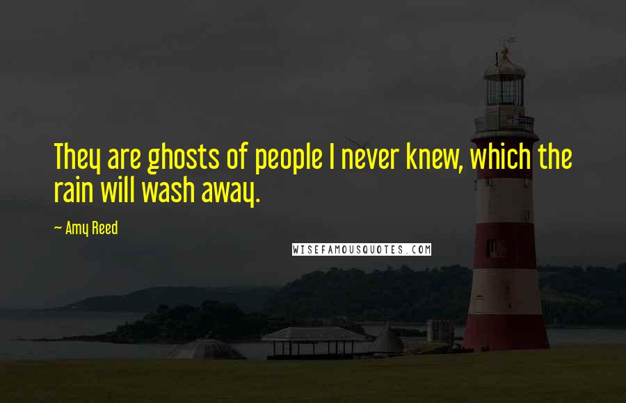 Amy Reed quotes: They are ghosts of people I never knew, which the rain will wash away.