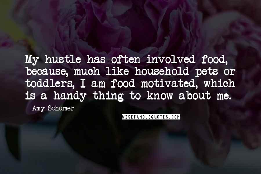 Amy Schumer quotes: My hustle has often involved food, because, much like household pets or toddlers, I am food-motivated, which is a handy thing to know about me.